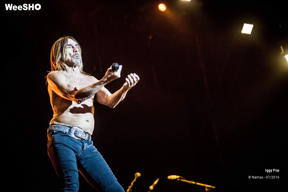 15/28 photos du spectacle Iggy Pop