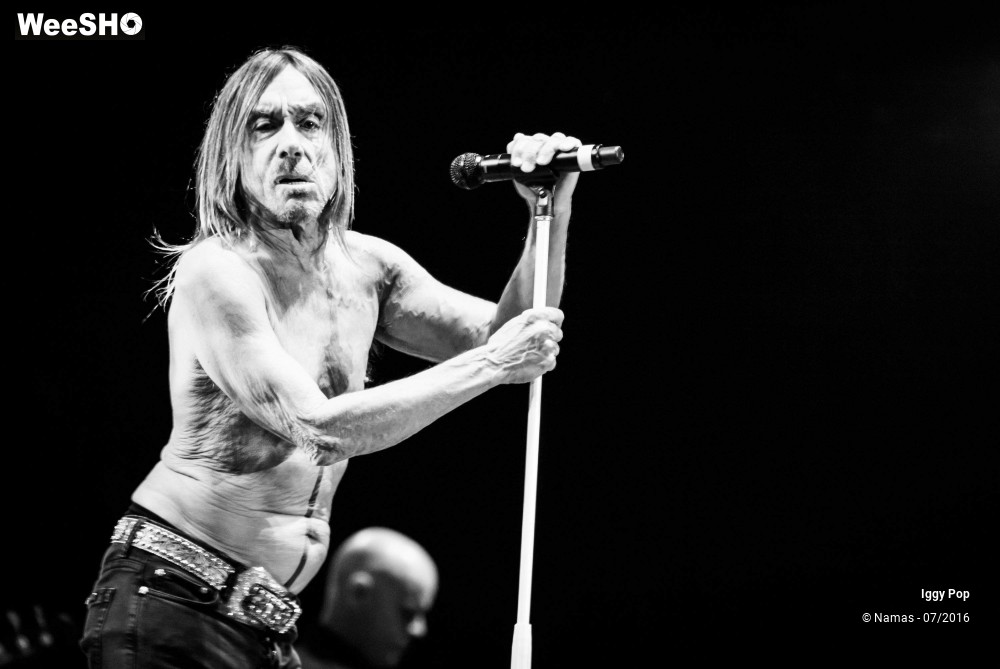 16/28 photos du spectacle Iggy Pop