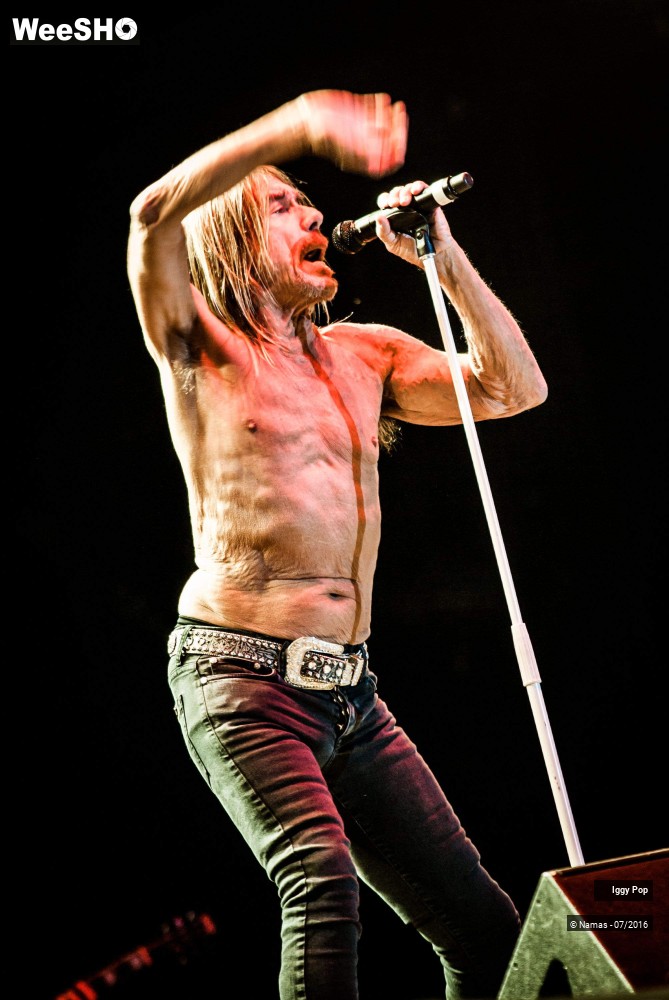 17/28 photos du spectacle Iggy Pop