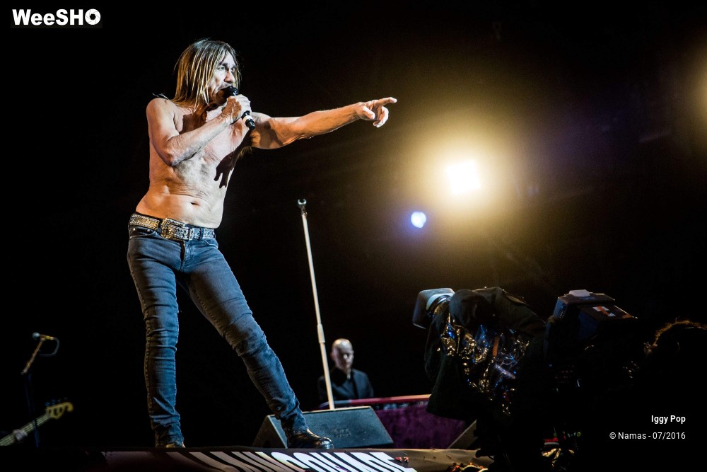 18/28 photos du spectacle Iggy Pop