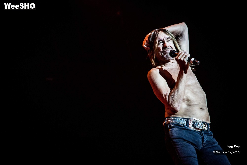 19/28 photos du spectacle Iggy Pop