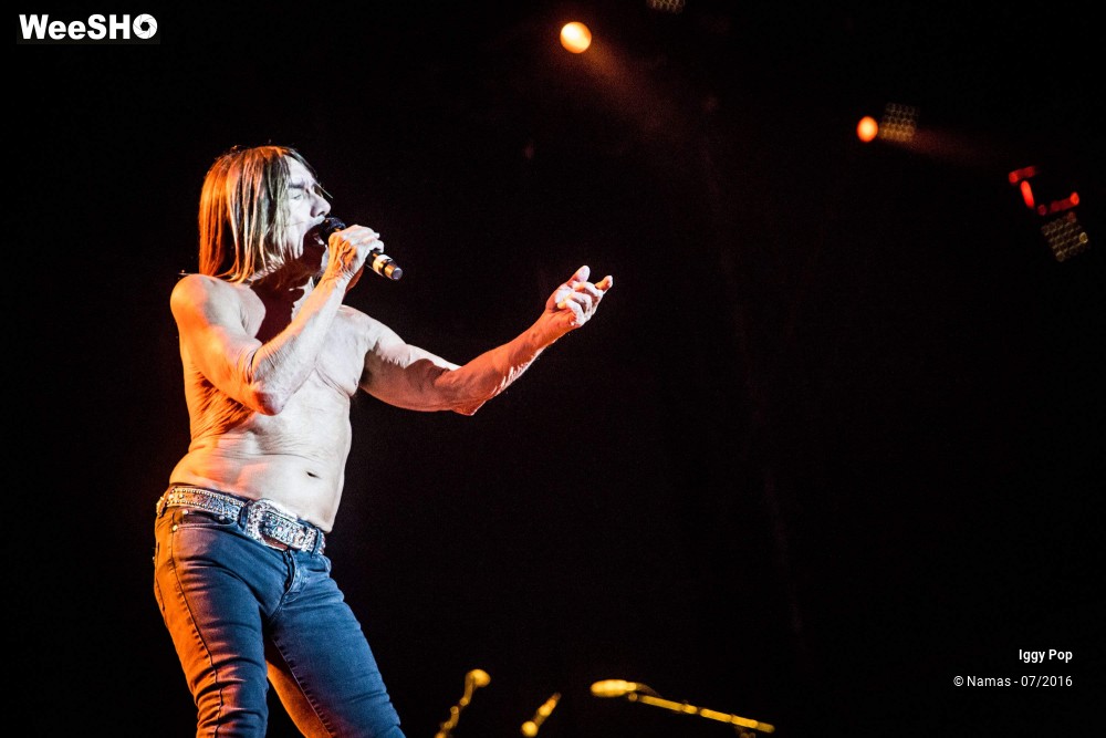 20/28 photos du spectacle Iggy Pop