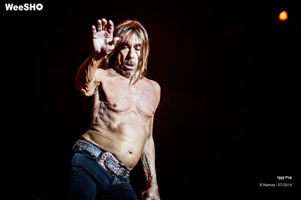 21/28 photos du spectacle Iggy Pop