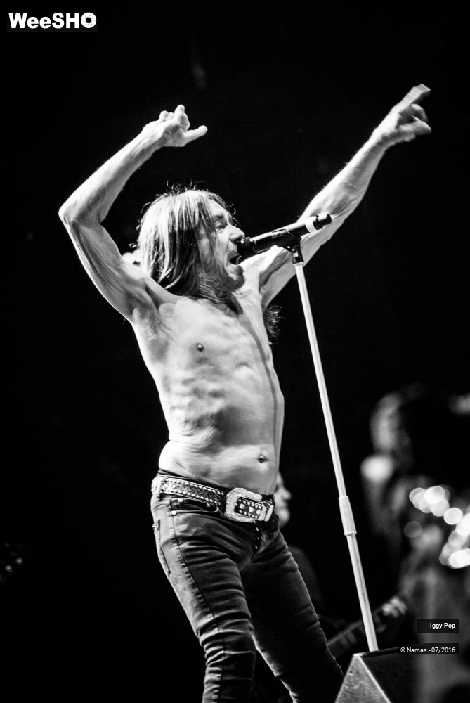 22/28 photos du spectacle Iggy Pop