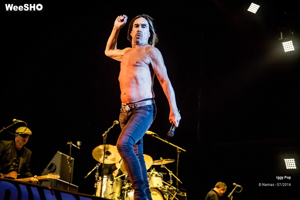 23/28 photos du spectacle Iggy Pop