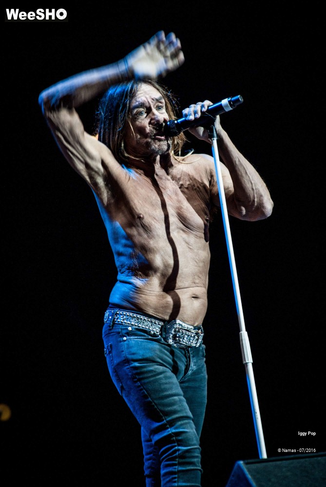 24/28 photos du spectacle Iggy Pop