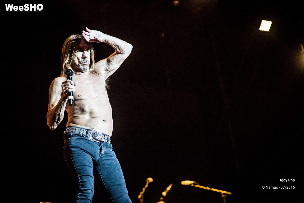 25/28 photos du spectacle Iggy Pop