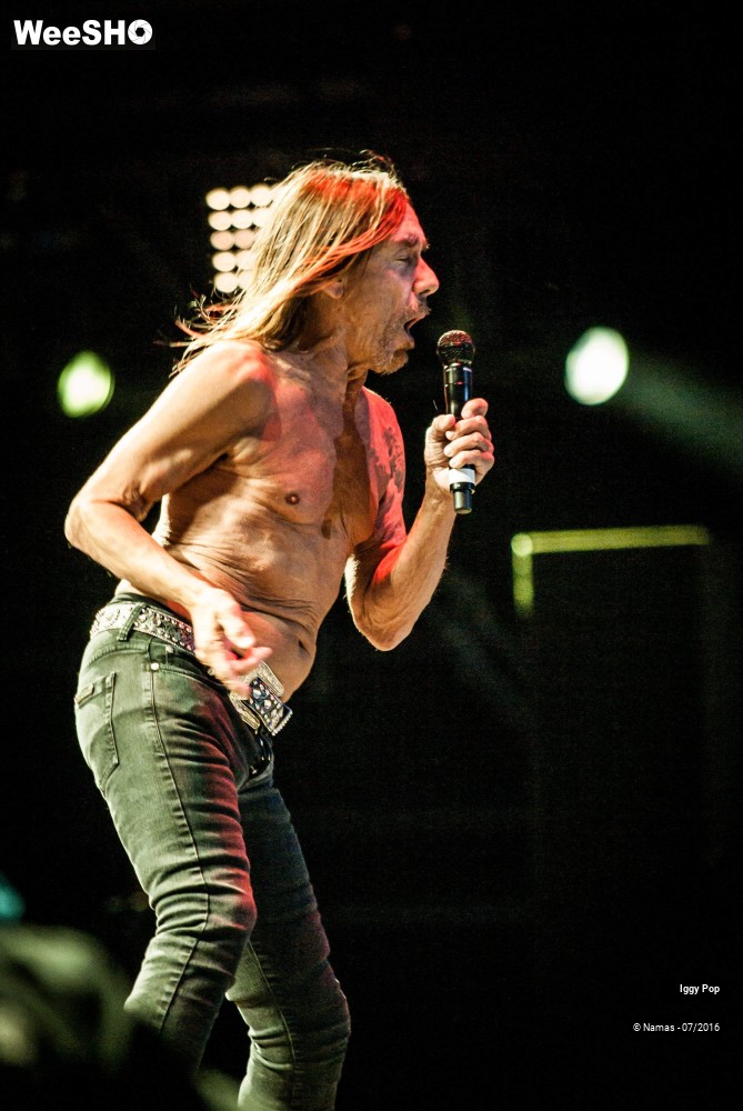 26/28 photos du spectacle Iggy Pop