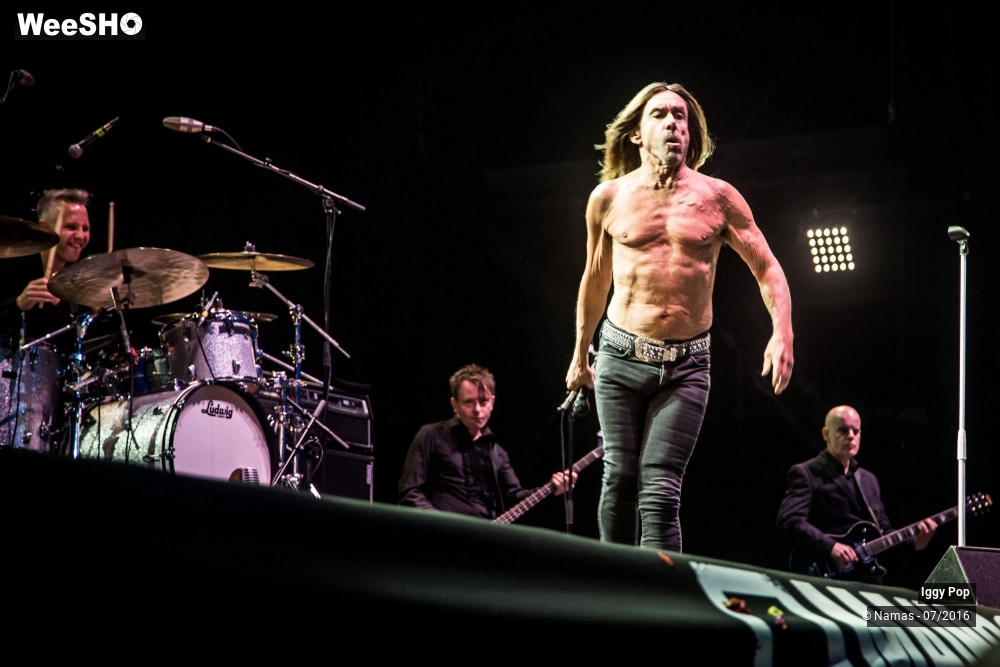 27/28 photos du spectacle Iggy Pop