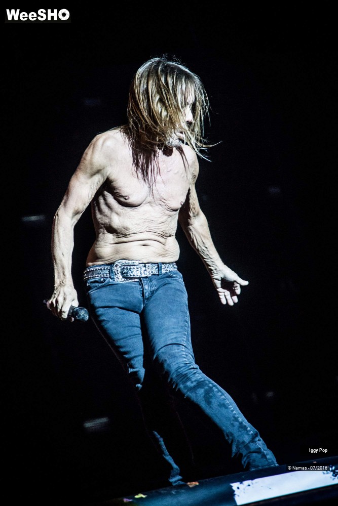 28/28 photos du spectacle Iggy Pop