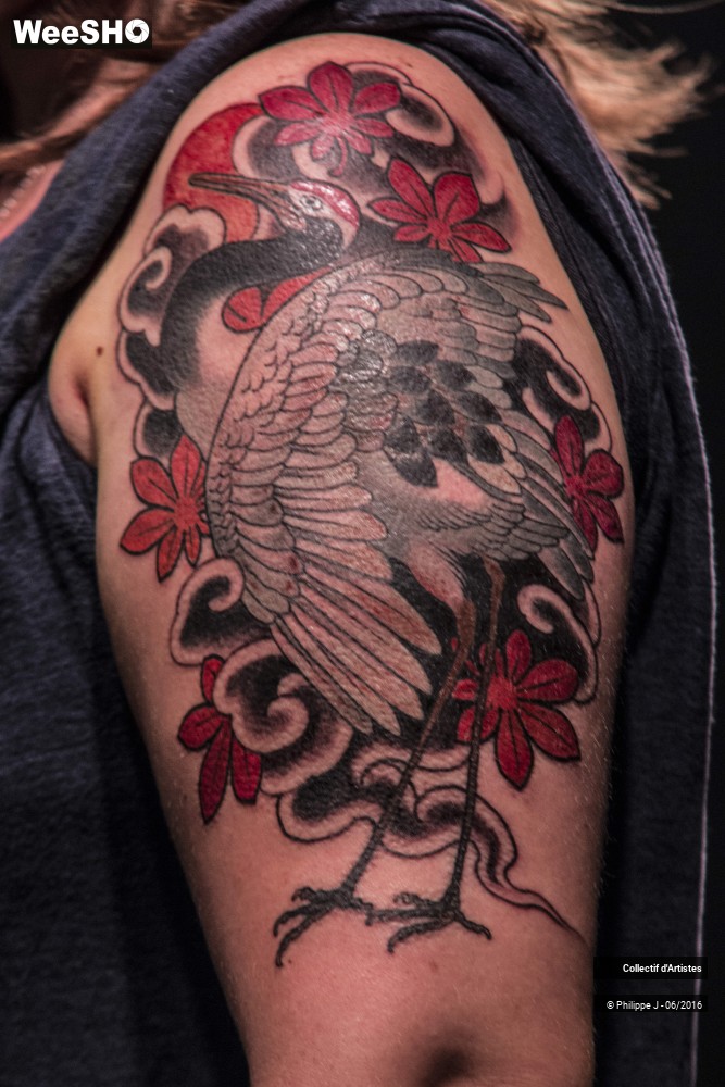 15/16 photos du spectacle International Lille Tatoo Convention Ambiance #4