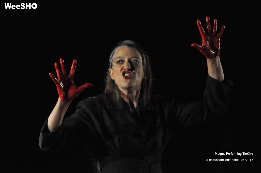 39/41 photos du spectacle M.A.M.A.E