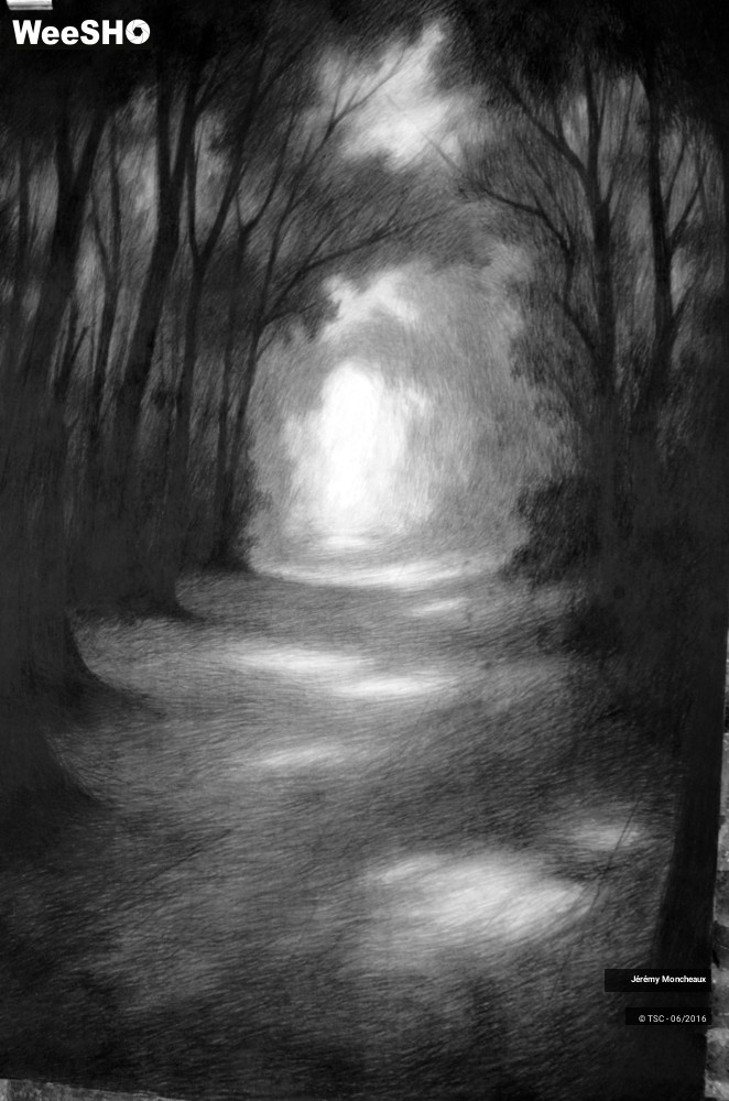 1/7 photos du spectacle Jérémy Moncheaux