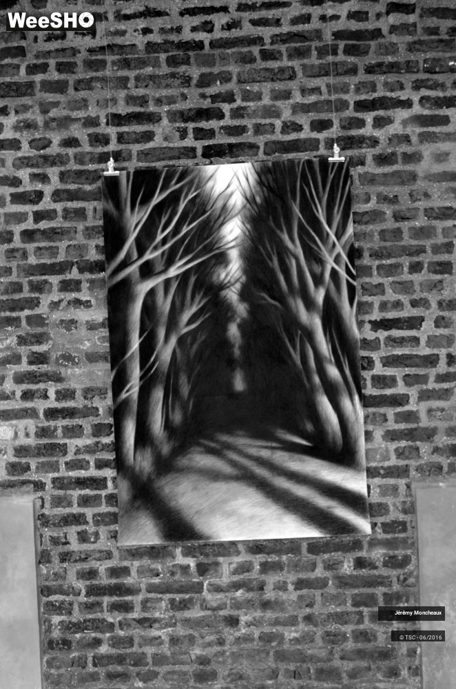 7/7 photos du spectacle Jérémy Moncheaux