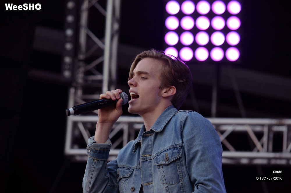 4/10 photos du spectacle Cardri