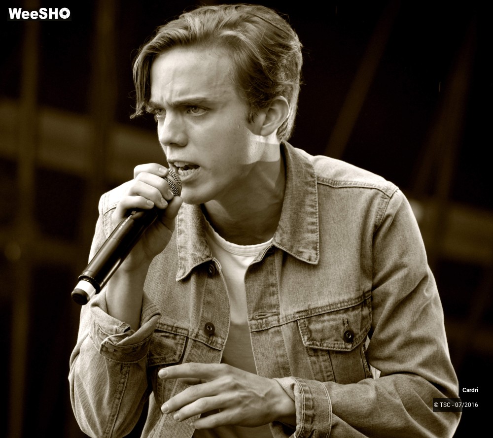 6/10 photos du spectacle Cardri