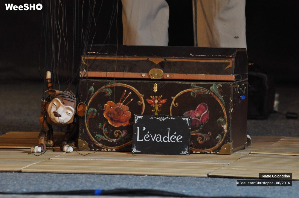 1/27 photos du spectacle Les Petites histoires Félines