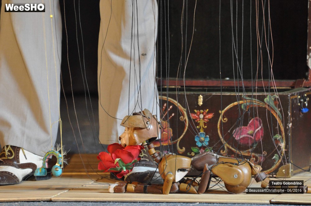 2/27 photos du spectacle Les Petites histoires Félines