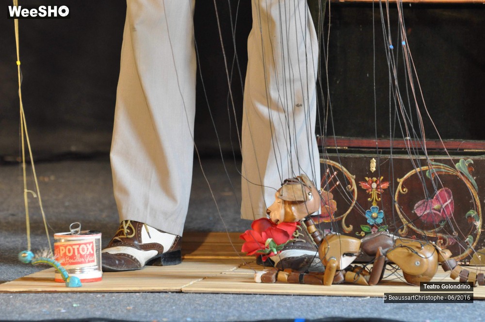17/27 photos du spectacle Les Petites histoires Félines