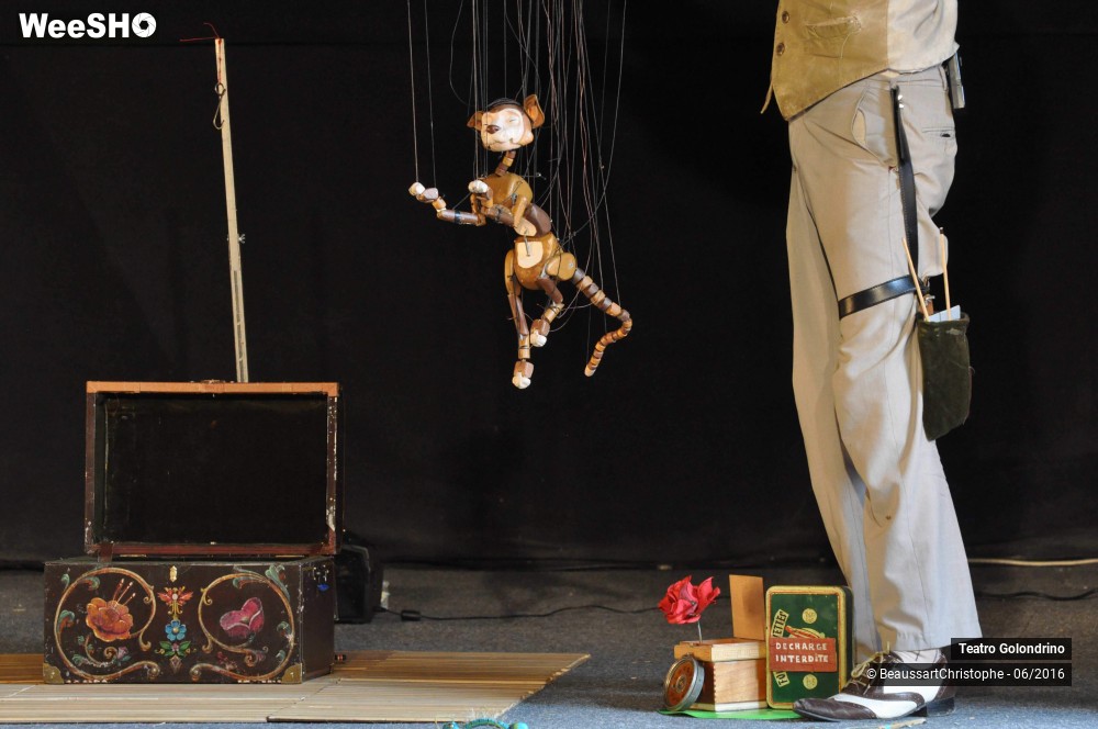 21/27 photos du spectacle Les Petites histoires Félines