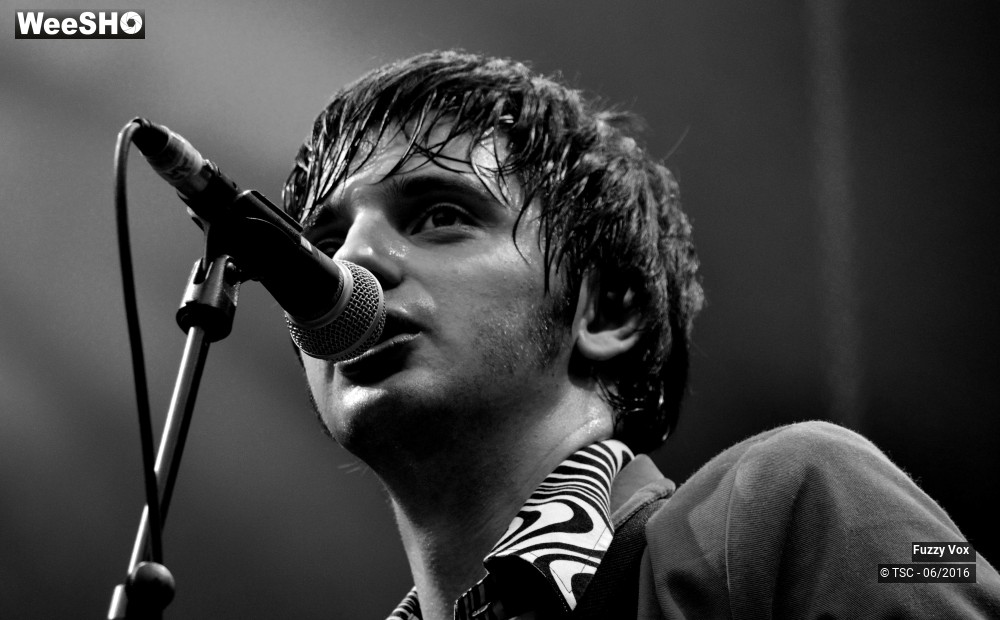 1/25 photos du spectacle Fuzzy Vox