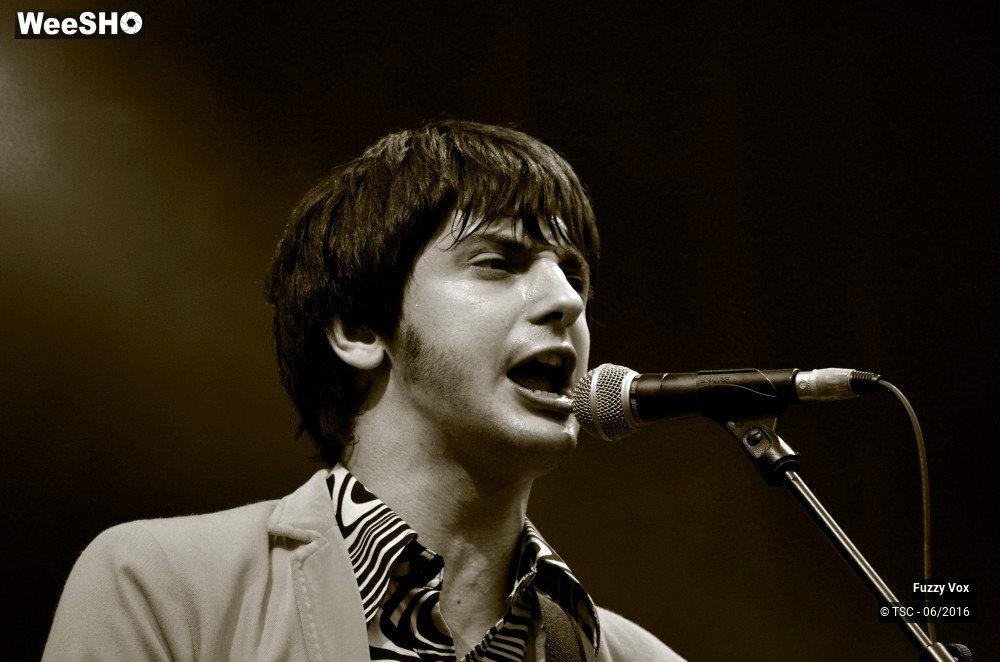 2/25 photos du spectacle Fuzzy Vox