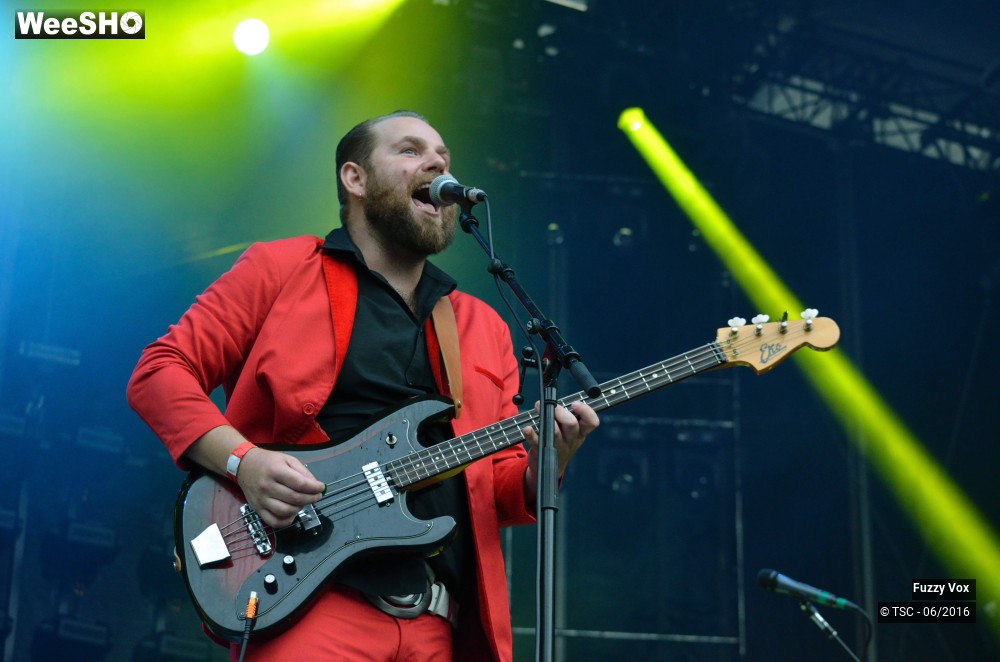 3/25 photos du spectacle Fuzzy Vox