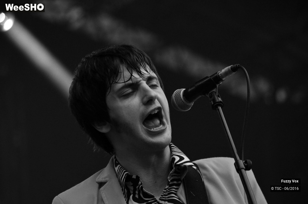 4/25 photos du spectacle Fuzzy Vox
