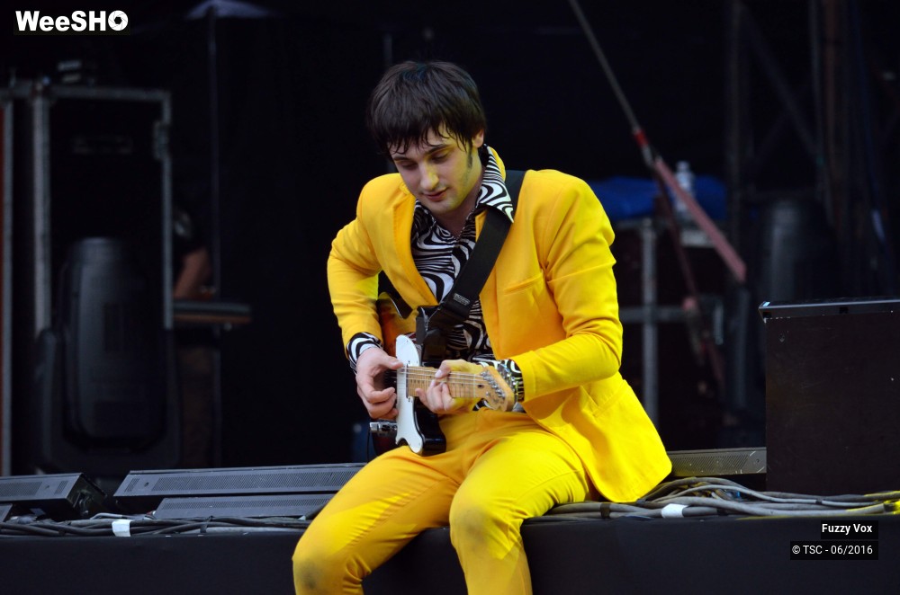 6/25 photos du spectacle Fuzzy Vox