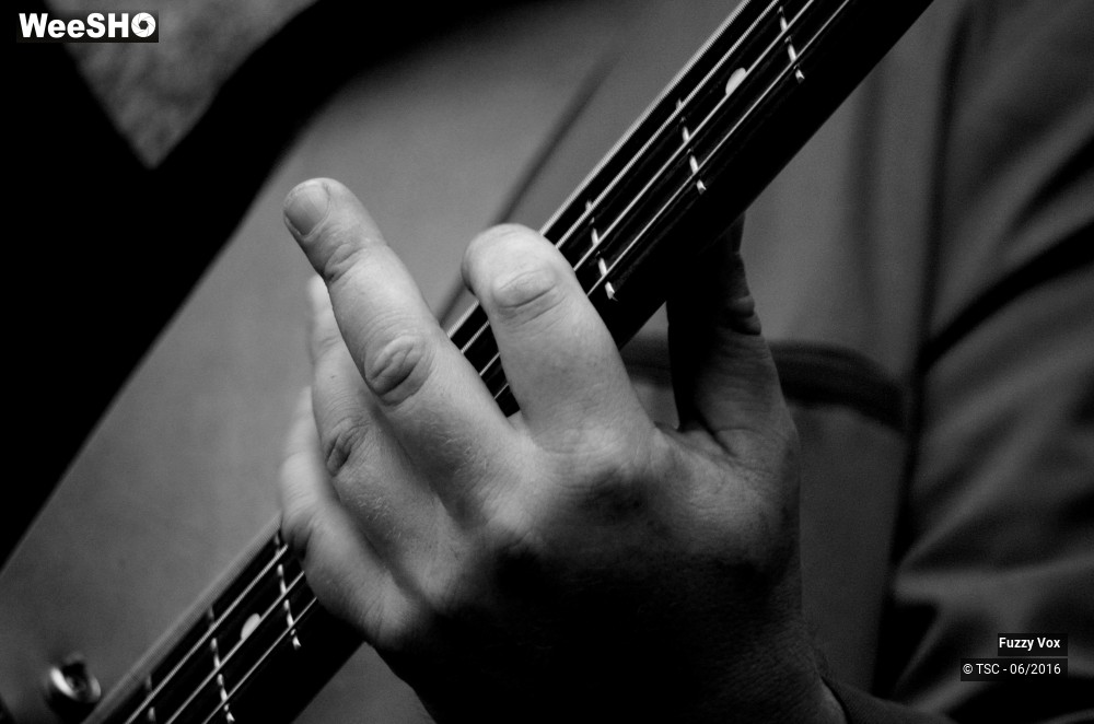 7/25 photos du spectacle Fuzzy Vox