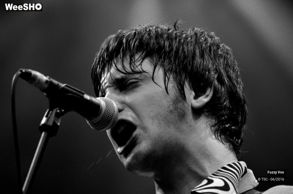 10/25 photos du spectacle Fuzzy Vox