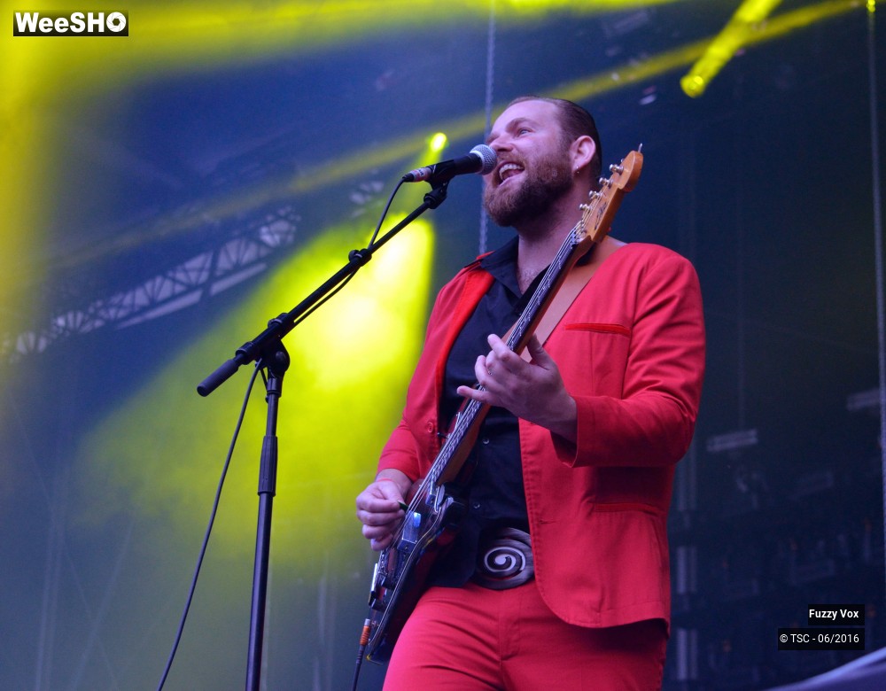 13/25 photos du spectacle Fuzzy Vox