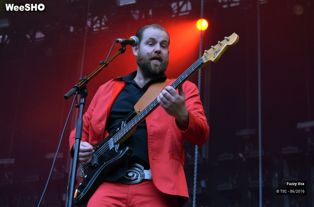 14/25 photos du spectacle Fuzzy Vox