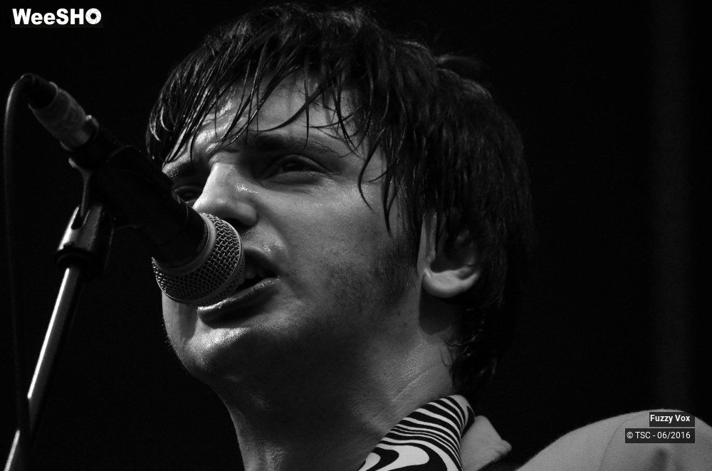 15/25 photos du spectacle Fuzzy Vox