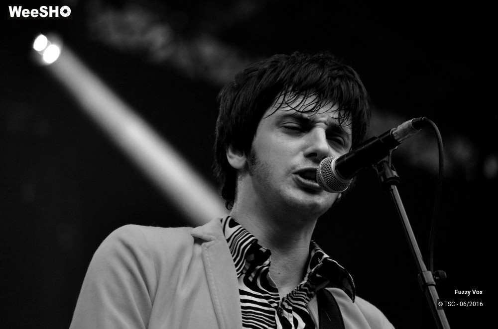 16/25 photos du spectacle Fuzzy Vox