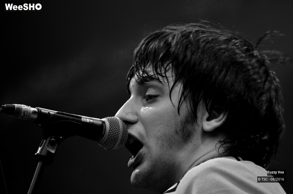 17/25 photos du spectacle Fuzzy Vox