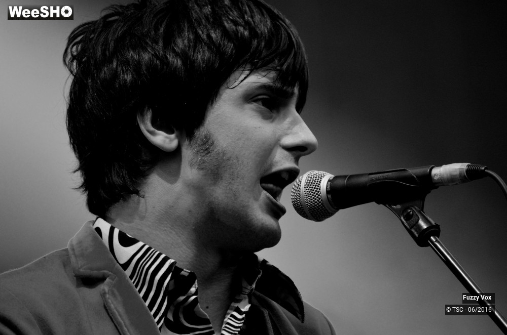 18/25 photos du spectacle Fuzzy Vox