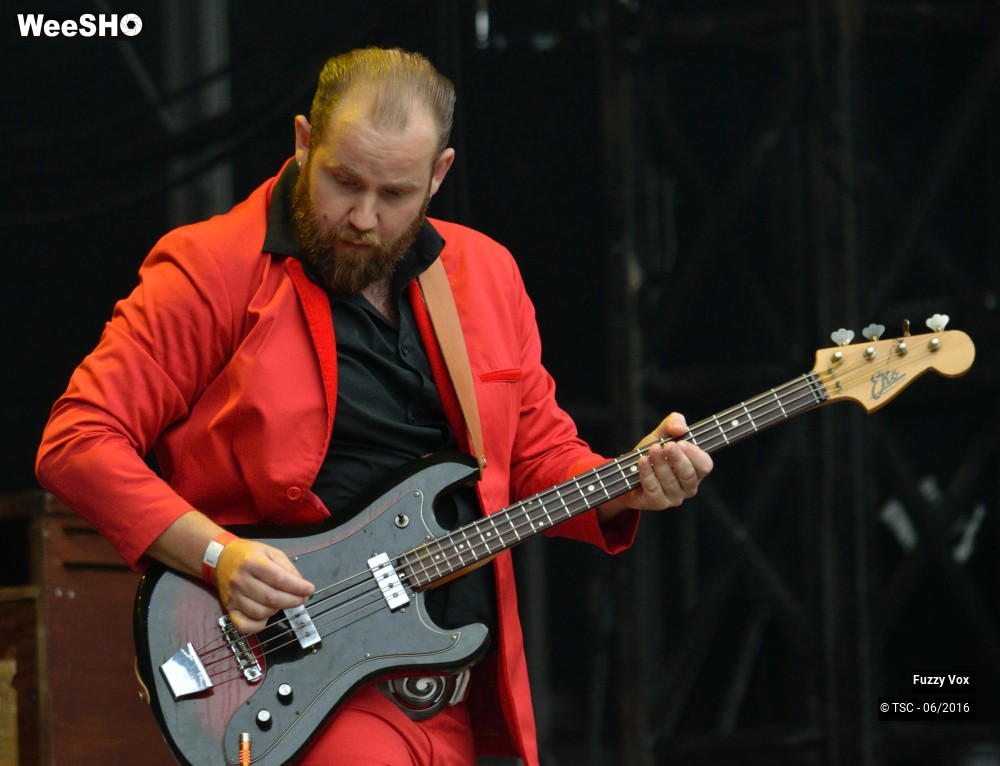 19/25 photos du spectacle Fuzzy Vox