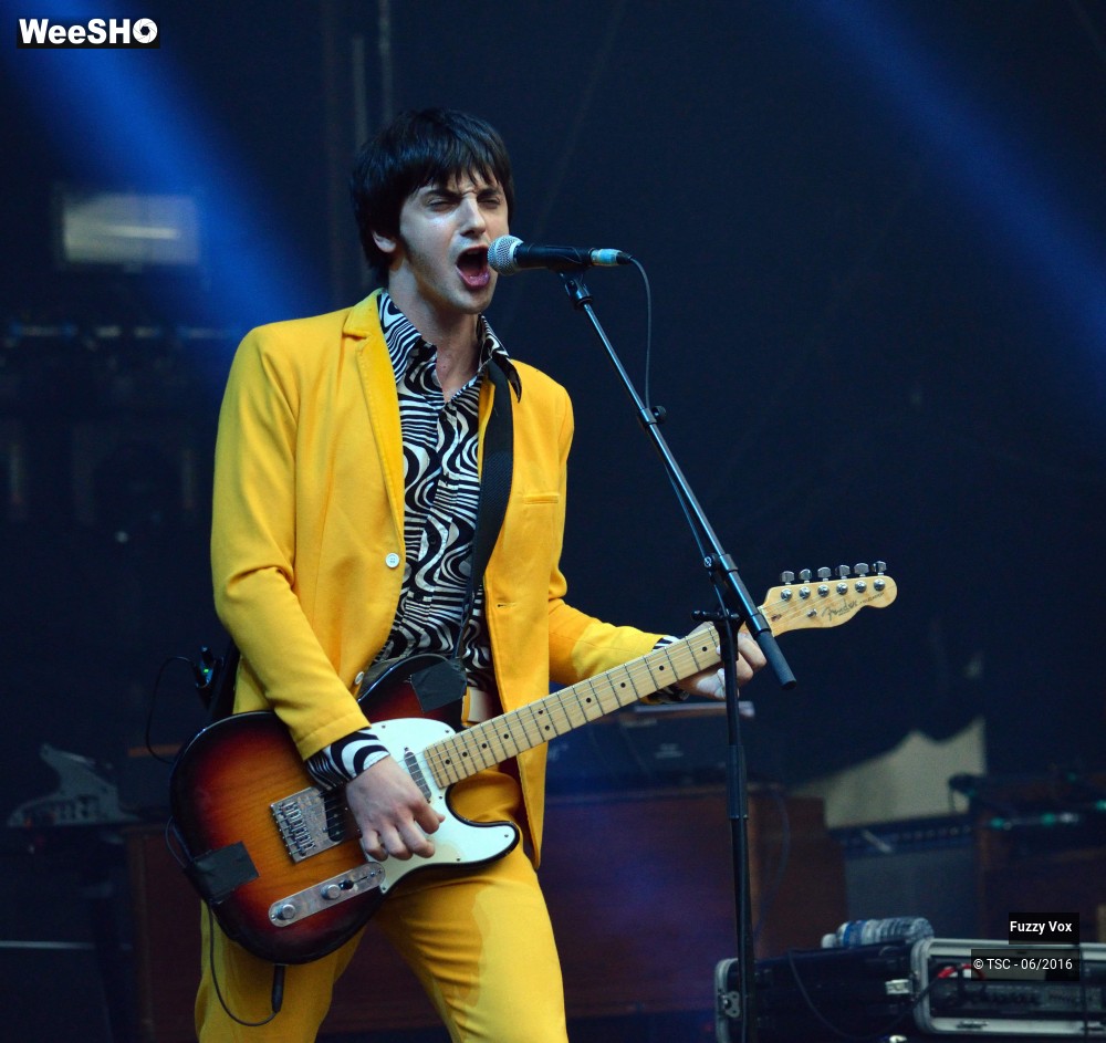 20/25 photos du spectacle Fuzzy Vox