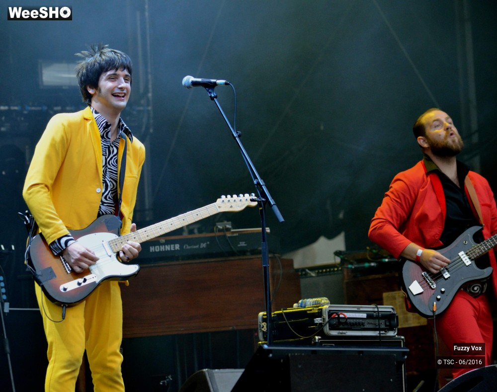 21/25 photos du spectacle Fuzzy Vox