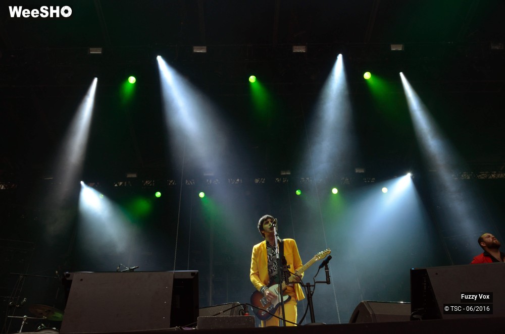 22/25 photos du spectacle Fuzzy Vox