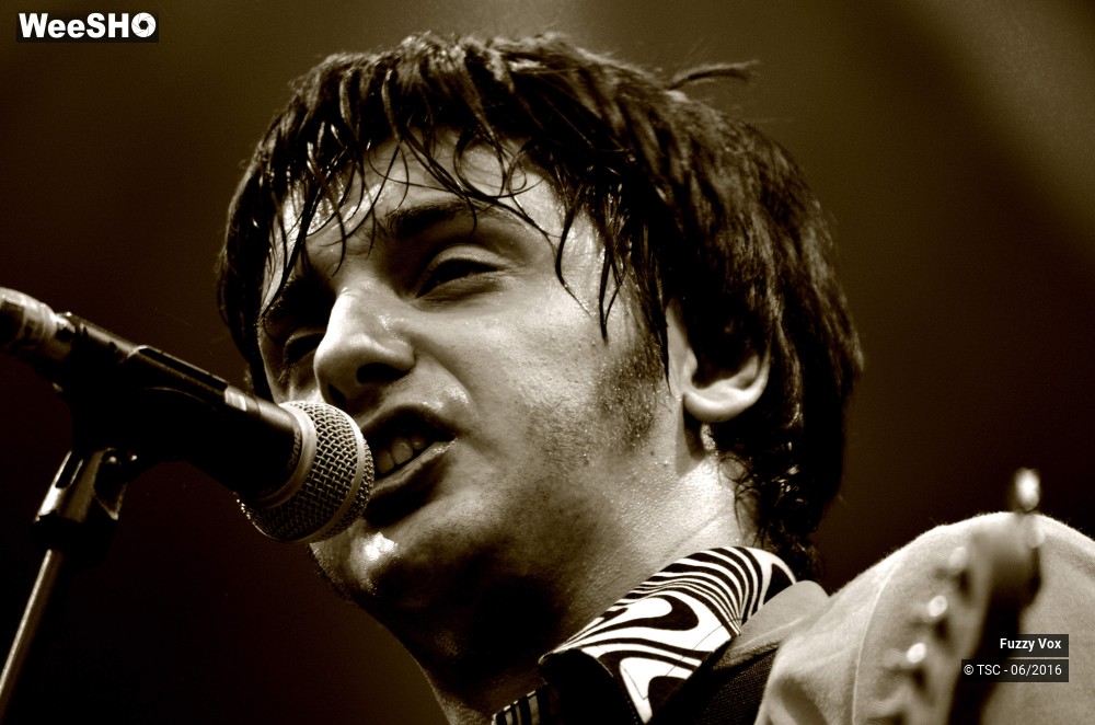 23/25 photos du spectacle Fuzzy Vox