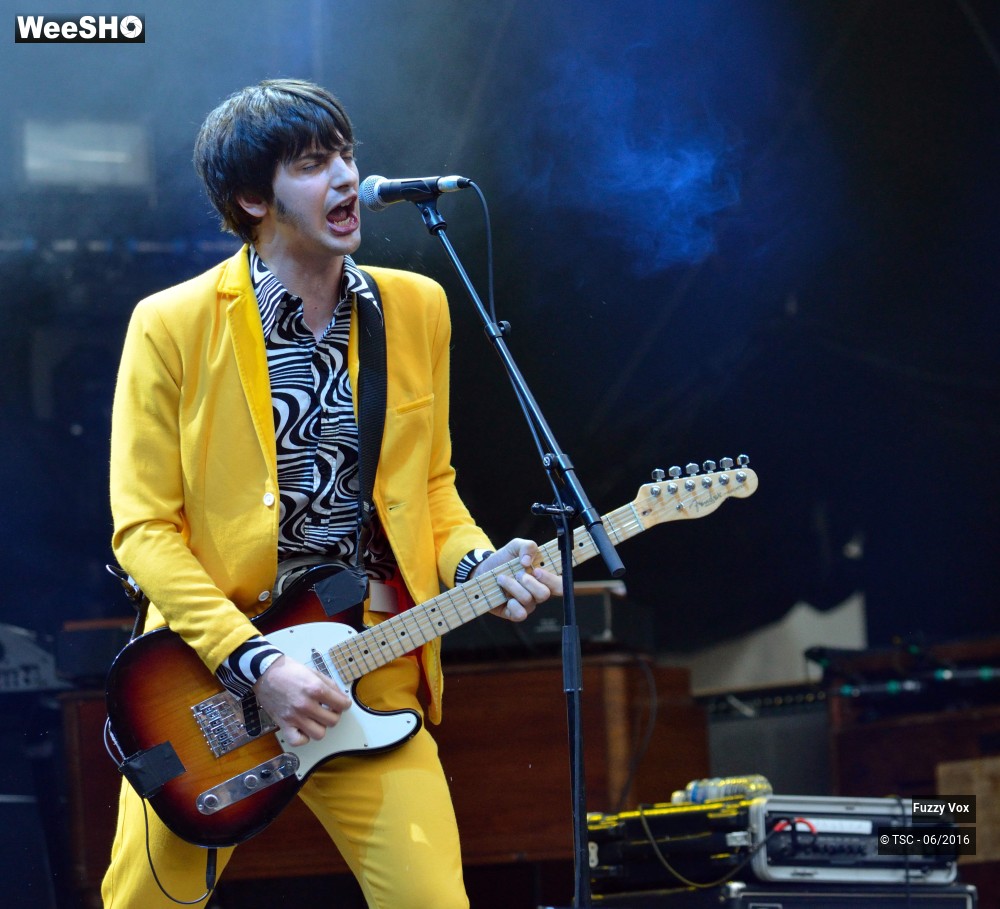 25/25 photos du spectacle Fuzzy Vox