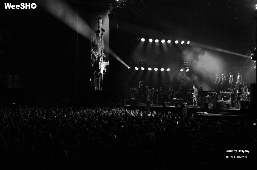 11/36 photos du spectacle Johnny Hallyday