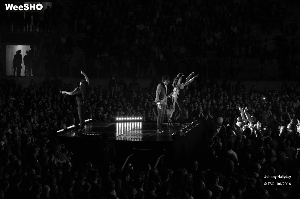 16/36 photos du spectacle Johnny Hallyday