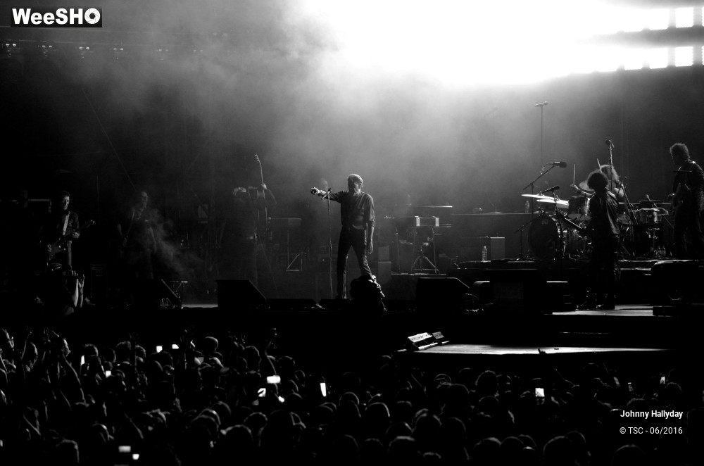 26/36 photos du spectacle Johnny Hallyday