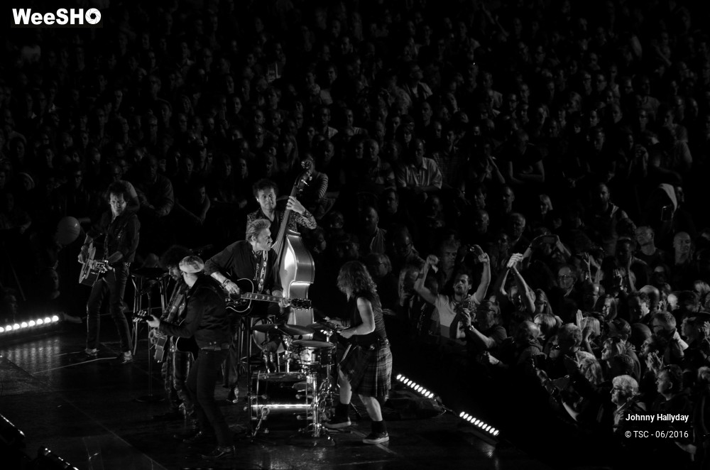 29/36 photos du spectacle Johnny Hallyday