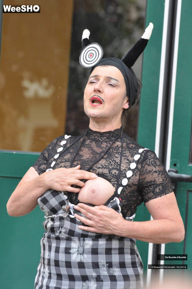 30/38 photos du spectacle Tentative(s) de Résistance(s)