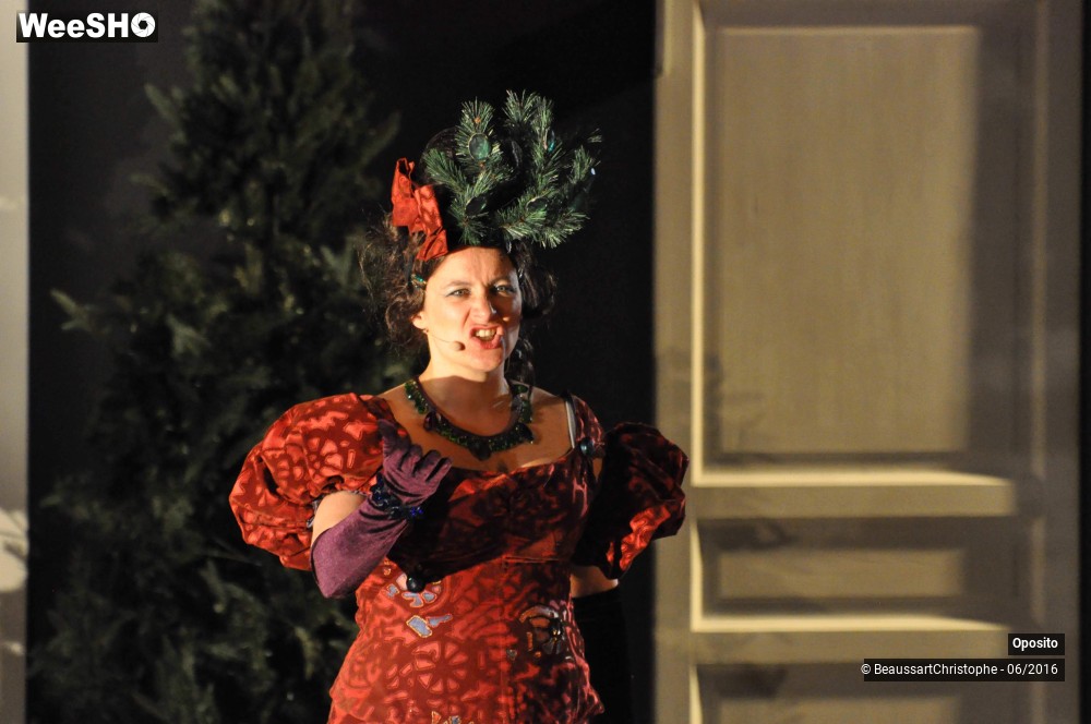 3/33 photos du spectacle La symphonie des sapins