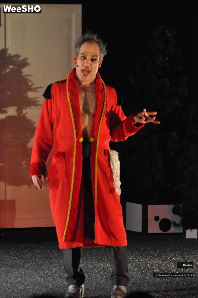 4/33 photos du spectacle La symphonie des sapins